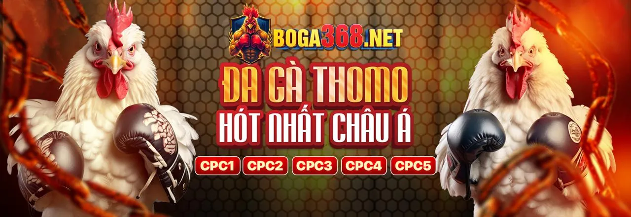 Đá Gà Trực Tuyến Game B52 Đổi Thưởng